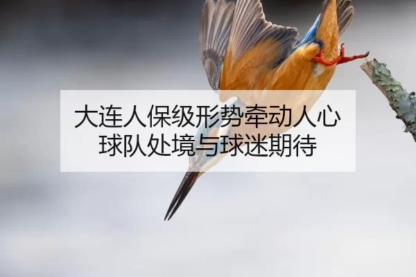 大连人保级形势牵动人心 球队处境与球迷期待